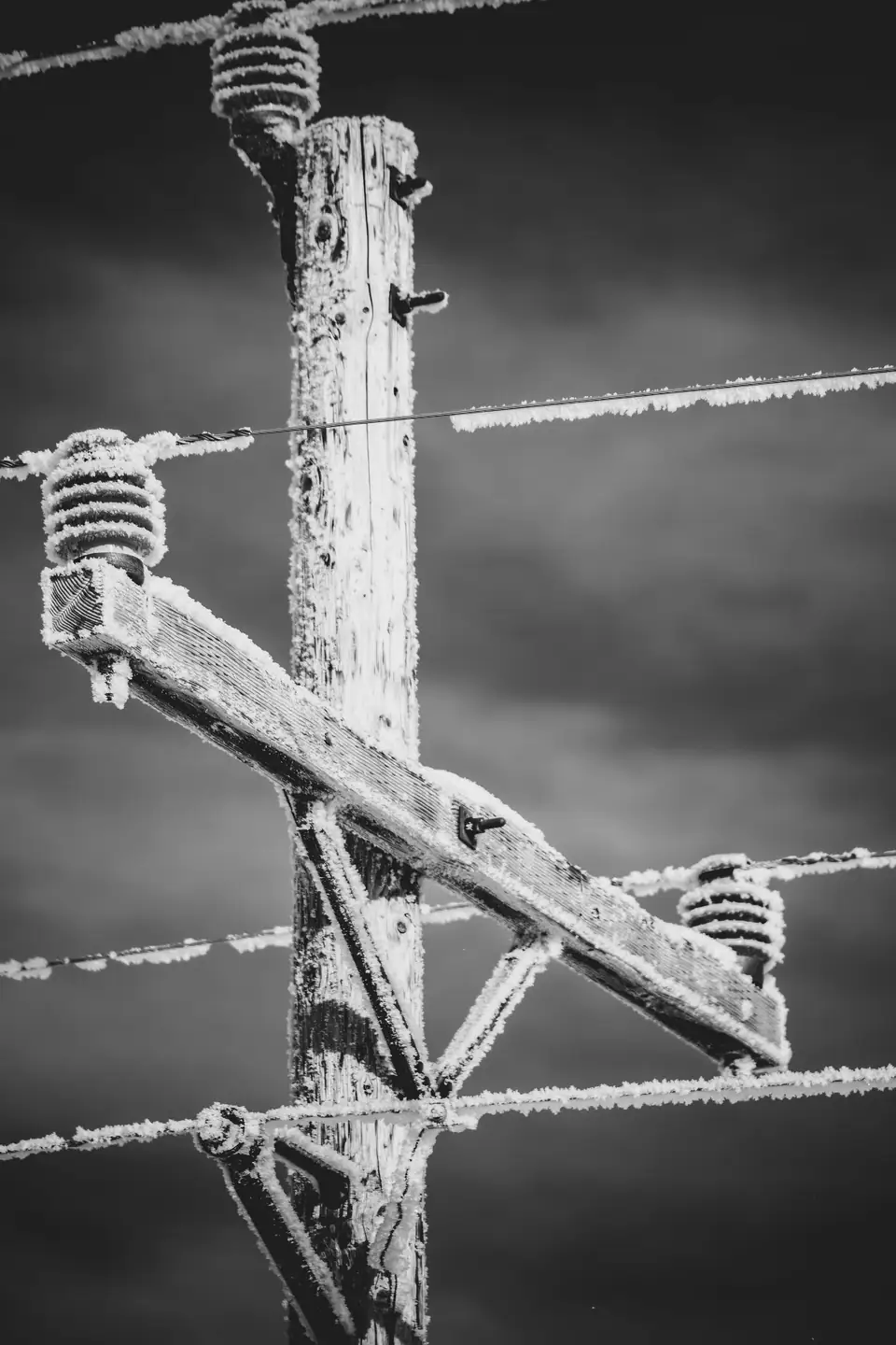 A wooden utility pole and its wires coated in frost, in black and white