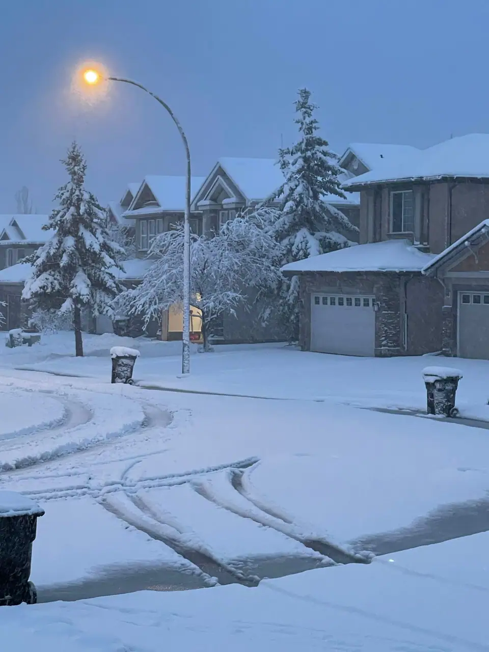 Snow-covered residential street with houses, spruce trees and streetlights at twilight