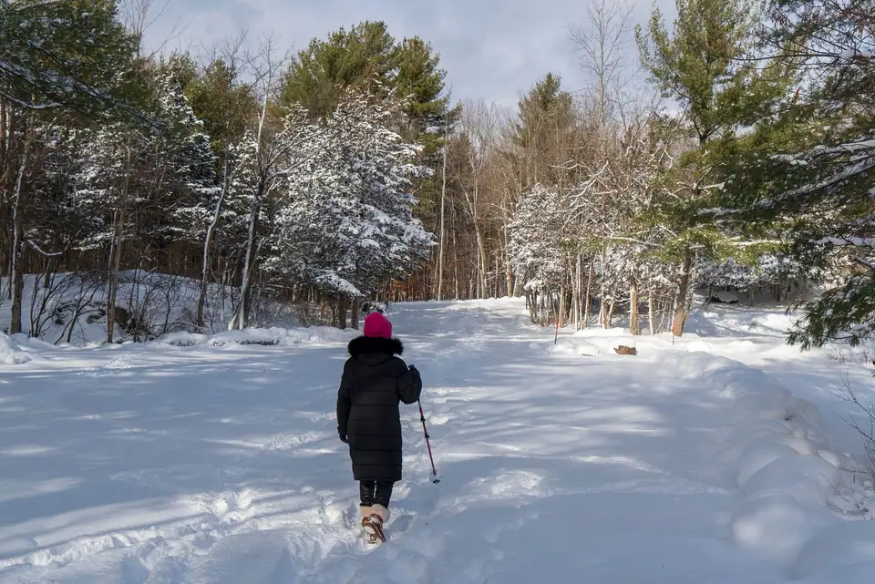 A person in a long winter coat and boots walking with a pole along a snowy forest trail